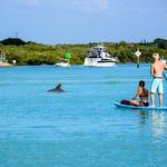 Jetty Rentals: Kayaks, Paddleboards, Surfboards etc.