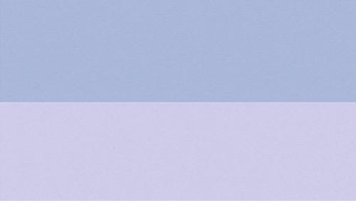 The Wedding Website of Max Haynes and Nikki Wang