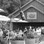 Great Frogs Winery