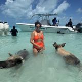 Pig Beach