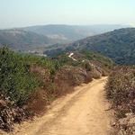 Hiking & Nature Walks