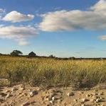 GOOSEWING BEACH PRESERVE