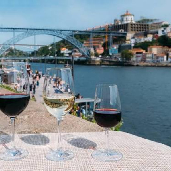 Wine Tasting in Porto