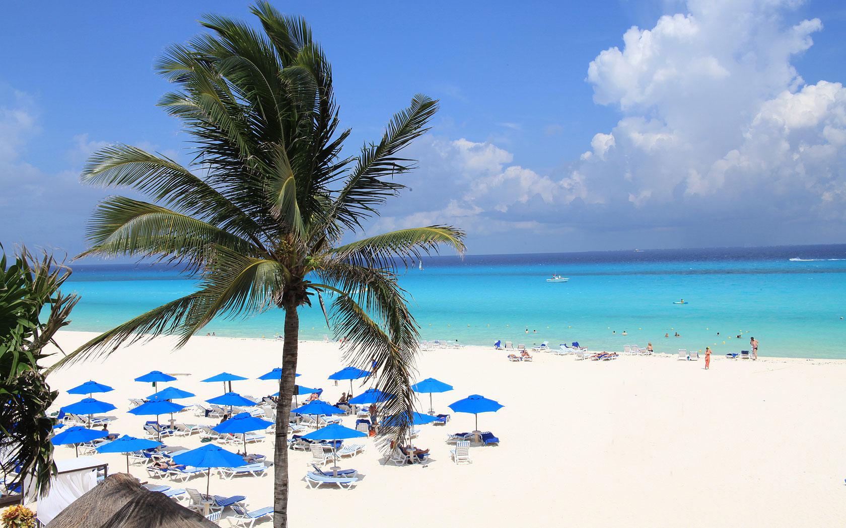 The Wedding Website of Alexandra Garcia Vergara and Henry Ernest Reese Jr