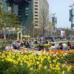 Campus Martius Park