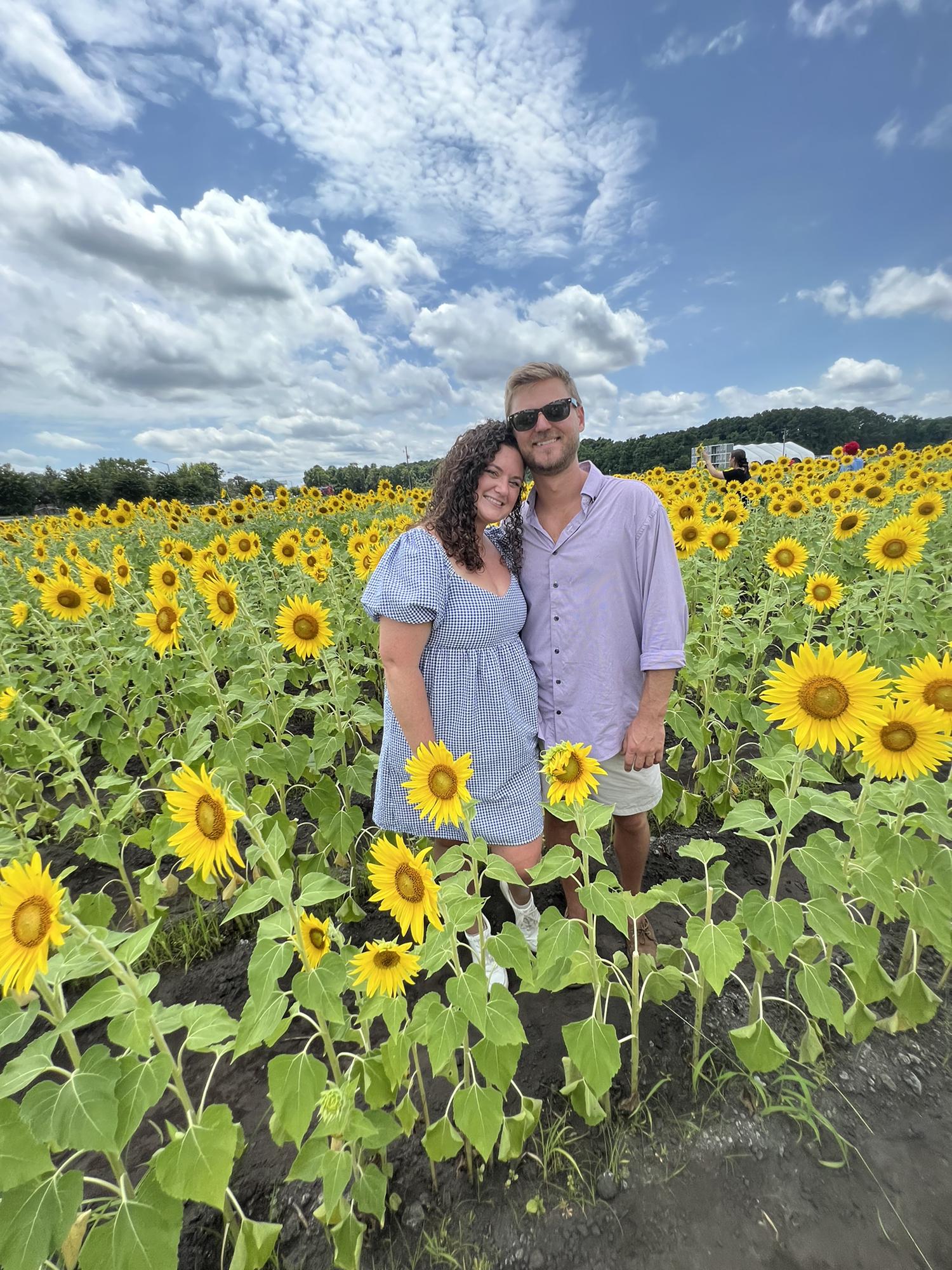 Summer sunflower fields in Charleston