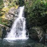 El Yunque National Rainforest