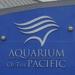 Aquarium of the Pacific