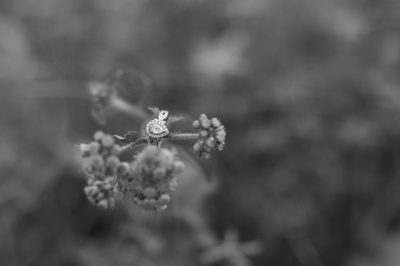 The Wedding Website of Alyssa Macaluso and Adriel Zalez