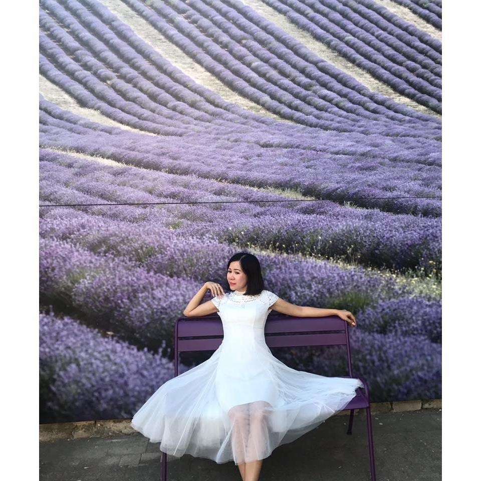 What a model shot.   France Lavender Fields