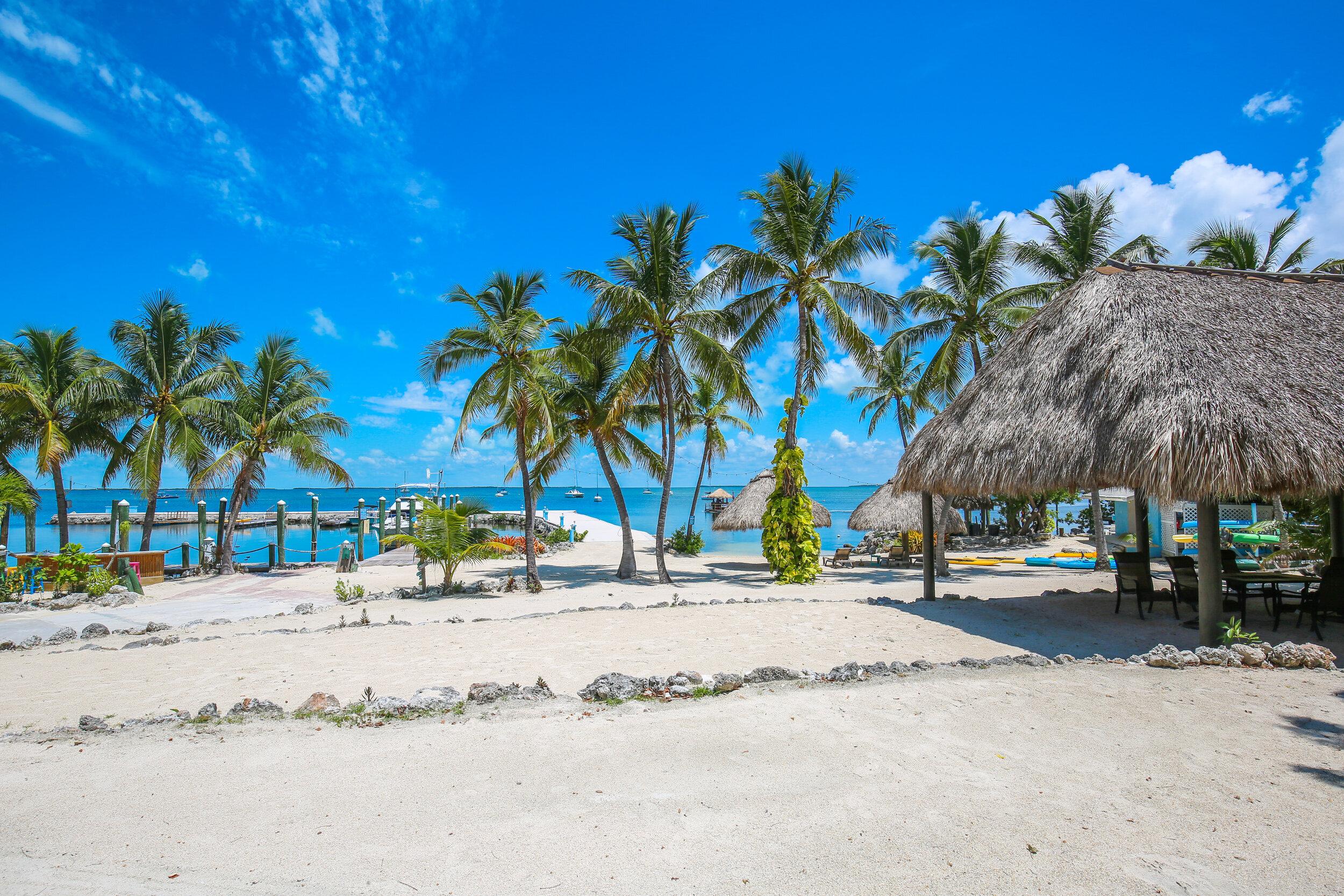 The Wedding Website of Kalei Blalock and Nicholas Sesto