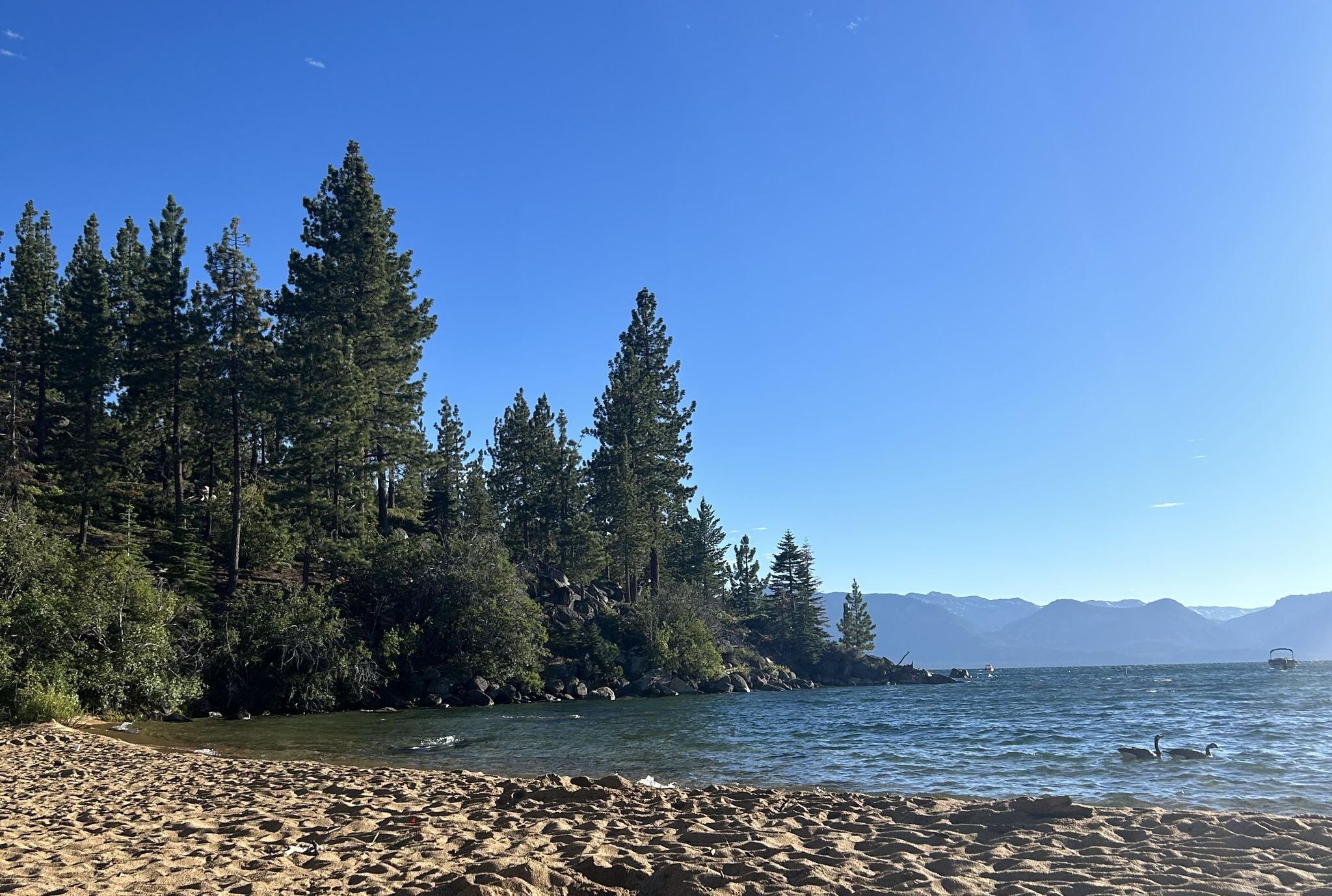 The Wedding Website of Courtney Decker and Layne Gainer