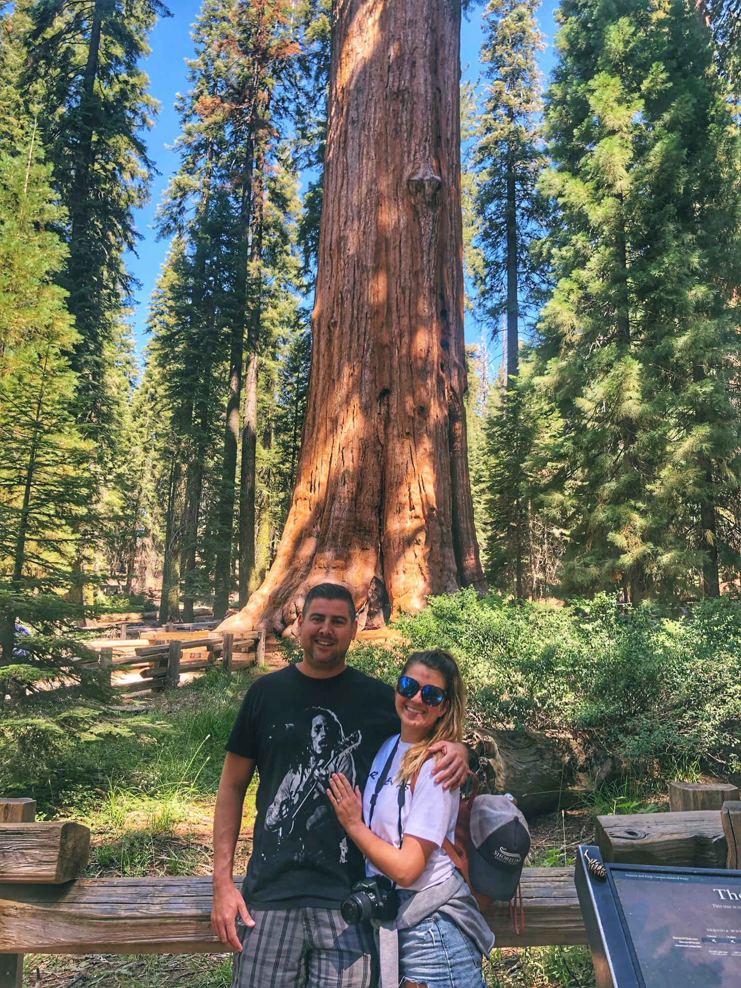 Our vacation up to Sequoia National Park. This is in front of General Sherman.