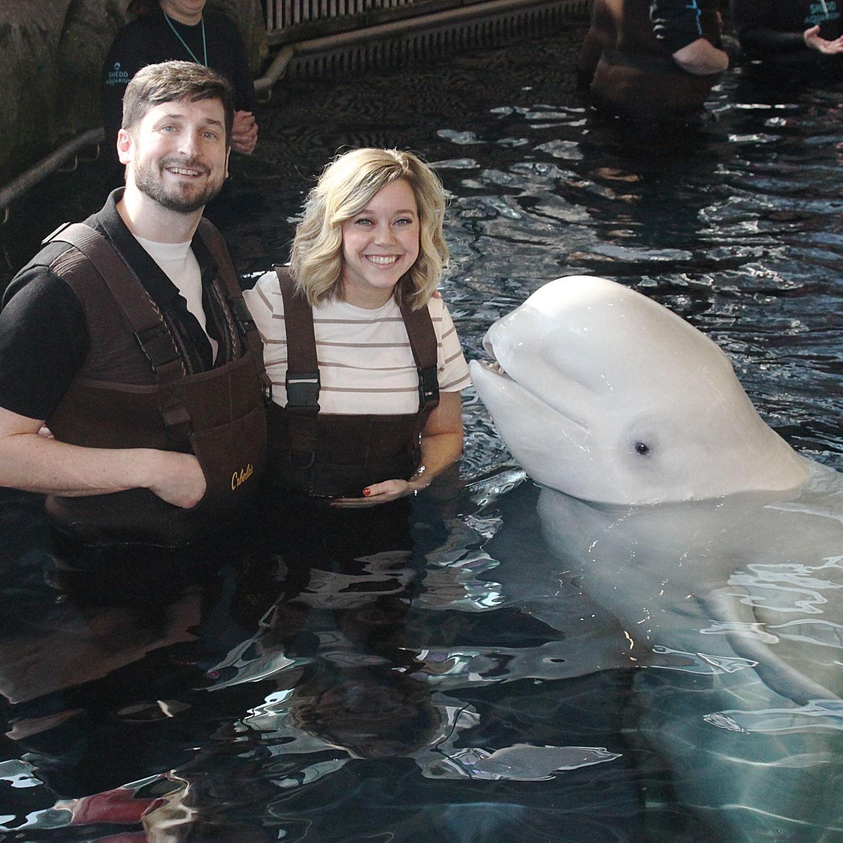 The day we got engaged