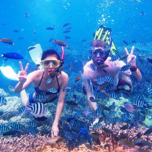 Snorkling @ Menjangan Island