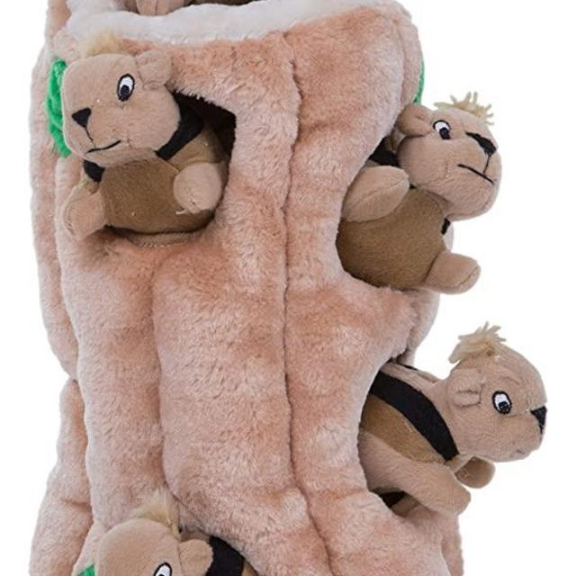 Outward Hound Hide-A-Squirrel Squeaky Puzzle Plush Dog Toy
