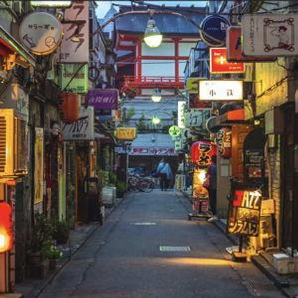 Guided bar hopping in Golden Gai