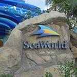 SeaWorld