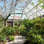 New England Botanic Garden at Tower Hill