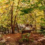 Lithia Park