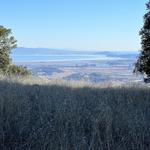 Mount Burdell Preserve