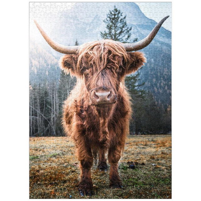 MyPuzzle Highland Cattle in The Italian Dolomites - Premium 1000 Piece Jigsaw Puzzle for Adults
