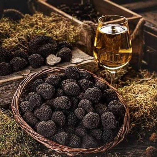 Truffle Hunt