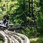 Kids Activities in Blue Mountain - Mountain Coaster, Zip Lining, Climbing Centre