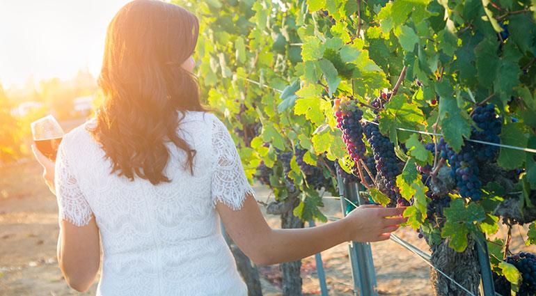 The Wedding Website of Marissa Chiechi and Rejoy Kakkanatt