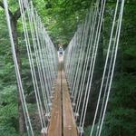 Shawnee Bluffs Canopy Tour (Zip-Lining)