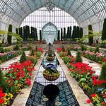 Como Park Zoo & Conservatory