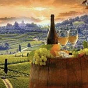Wine tasting in Tuscany for our Honey Moon