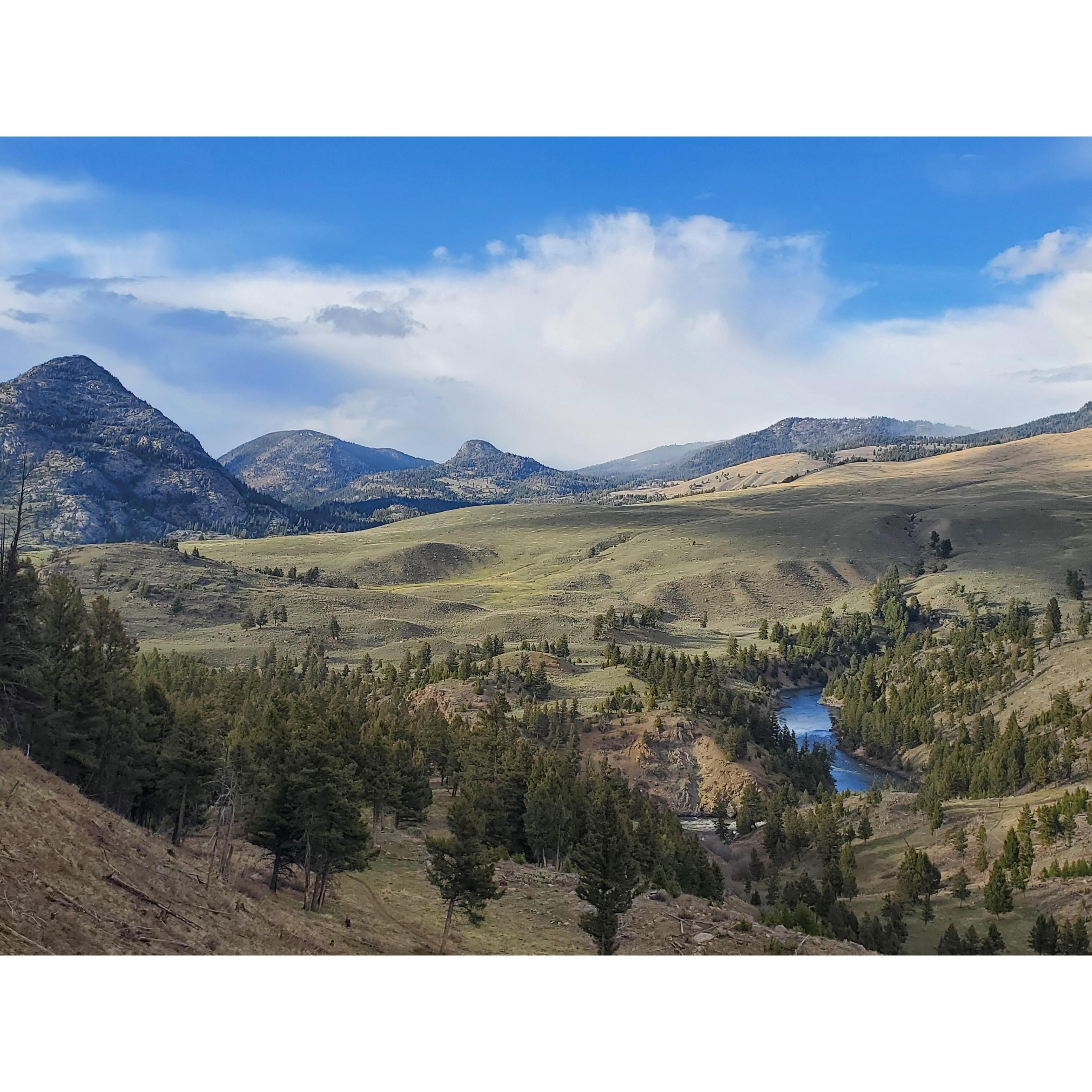 The hike where Maverick proposed. We got as far as from where I was standing for this photo to the base of the mountain on the left!