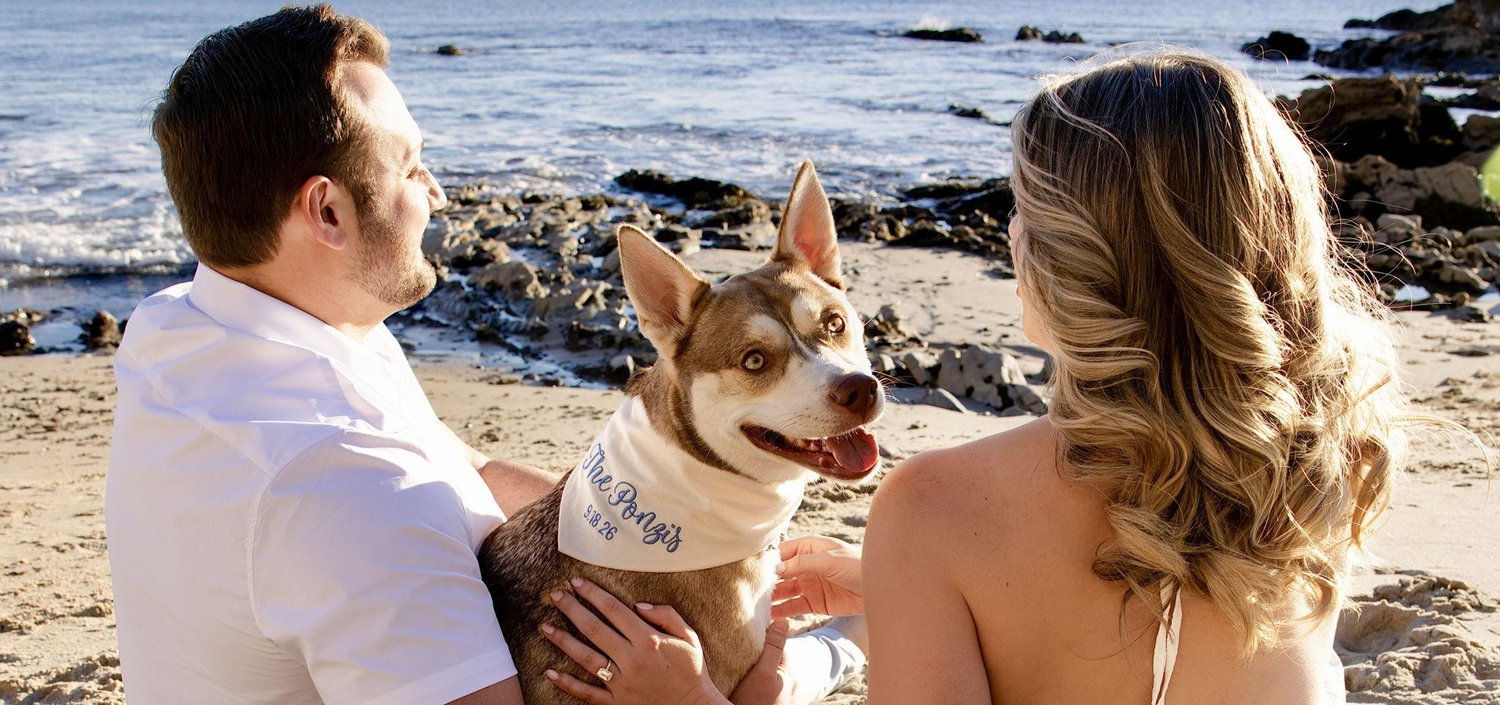 The Wedding Website of Kelsie Eileen Richards and Austin James Ponzi
