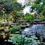 Zilker Botanical Garden