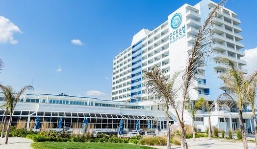 The Wedding Website of Alexa Carrino and Mikey Discenza