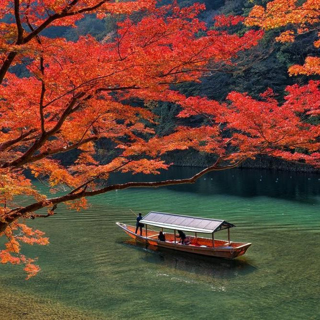 Japan & Korea Honeymoon Fund