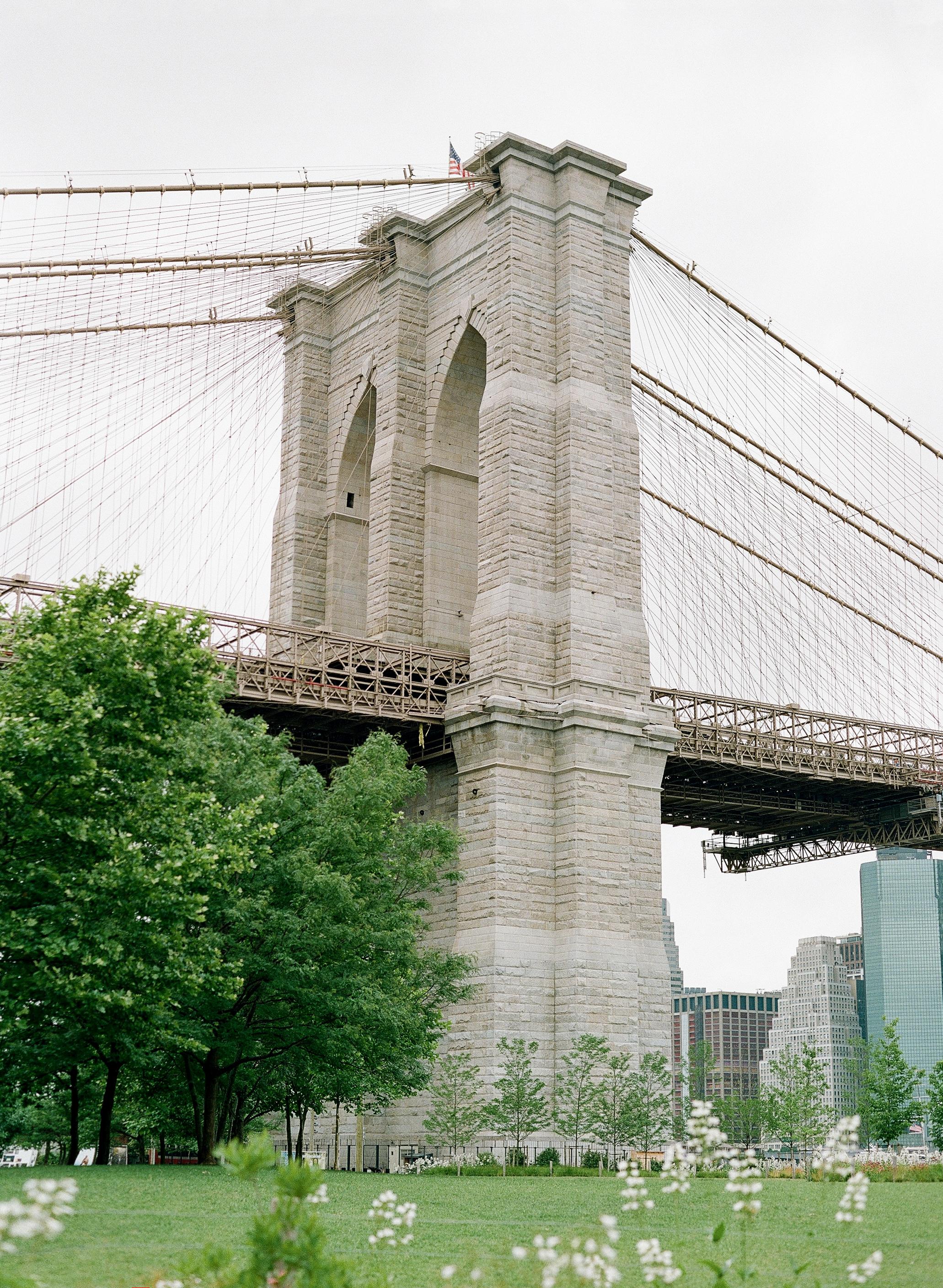 The Wedding Website of Sydney Weinstock and David Palgon
