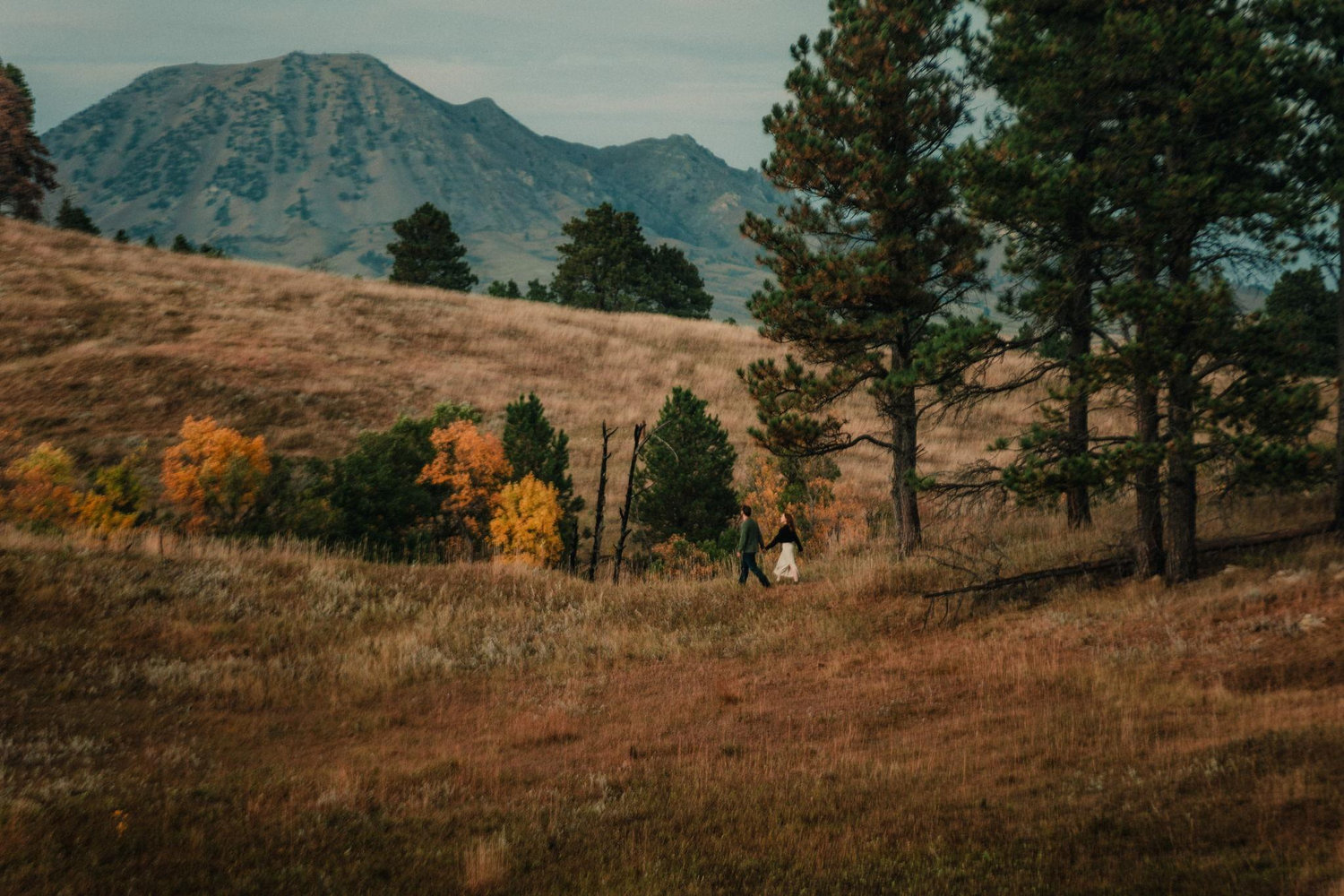 The Wedding Website of Jena Swanson and Ryan Karg
