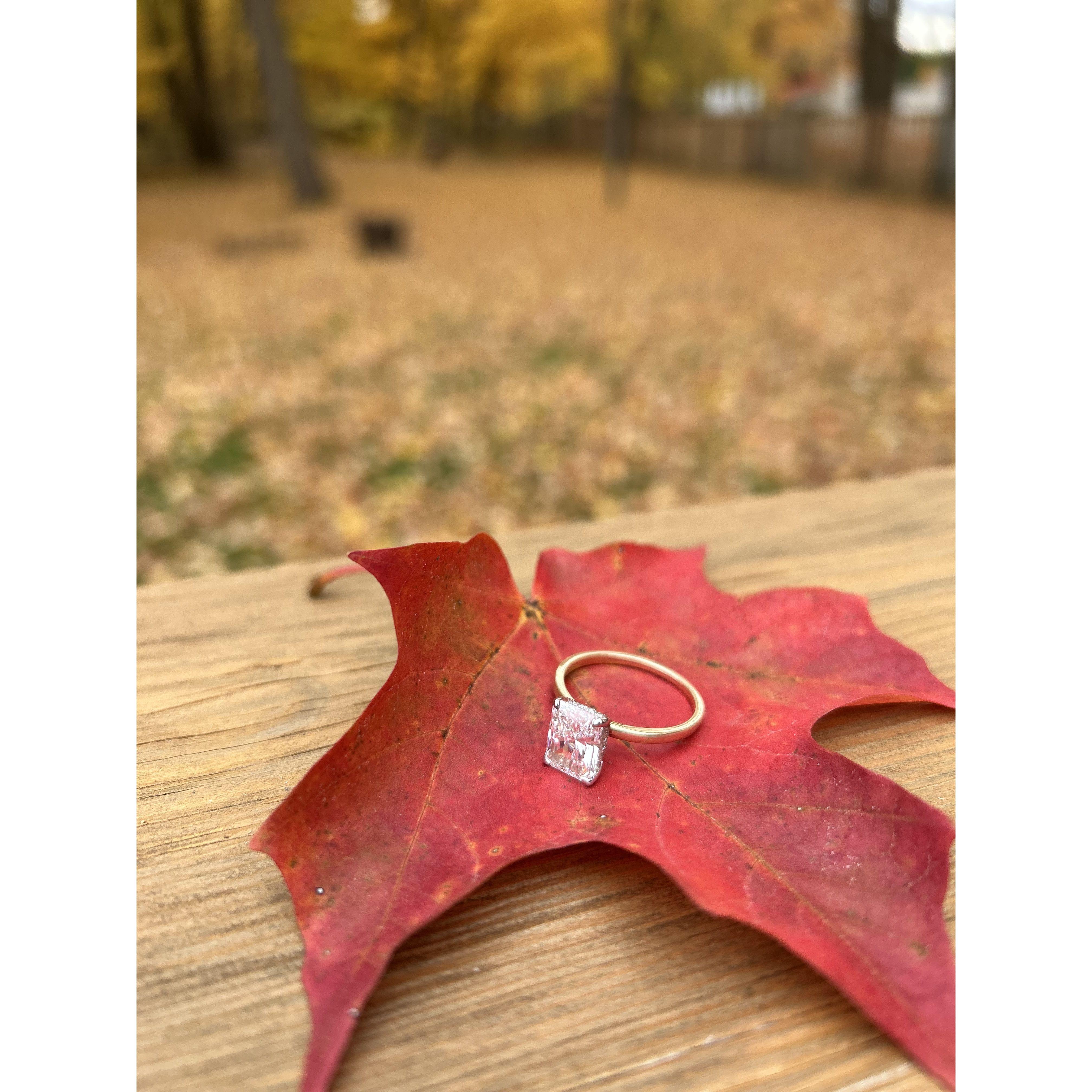 The Ring*