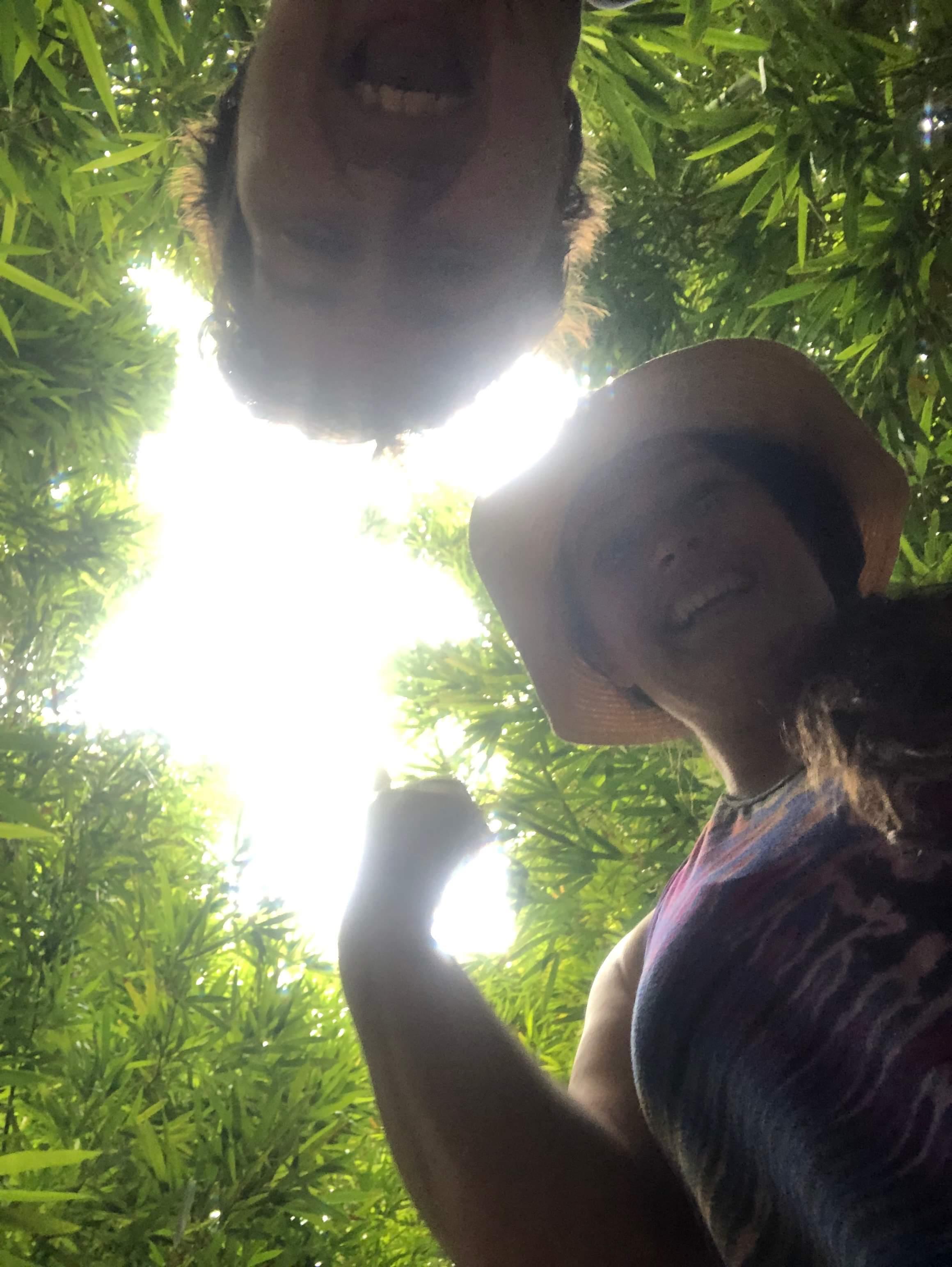 The Wedding Website of Jamie Yuresko and Noah Norman