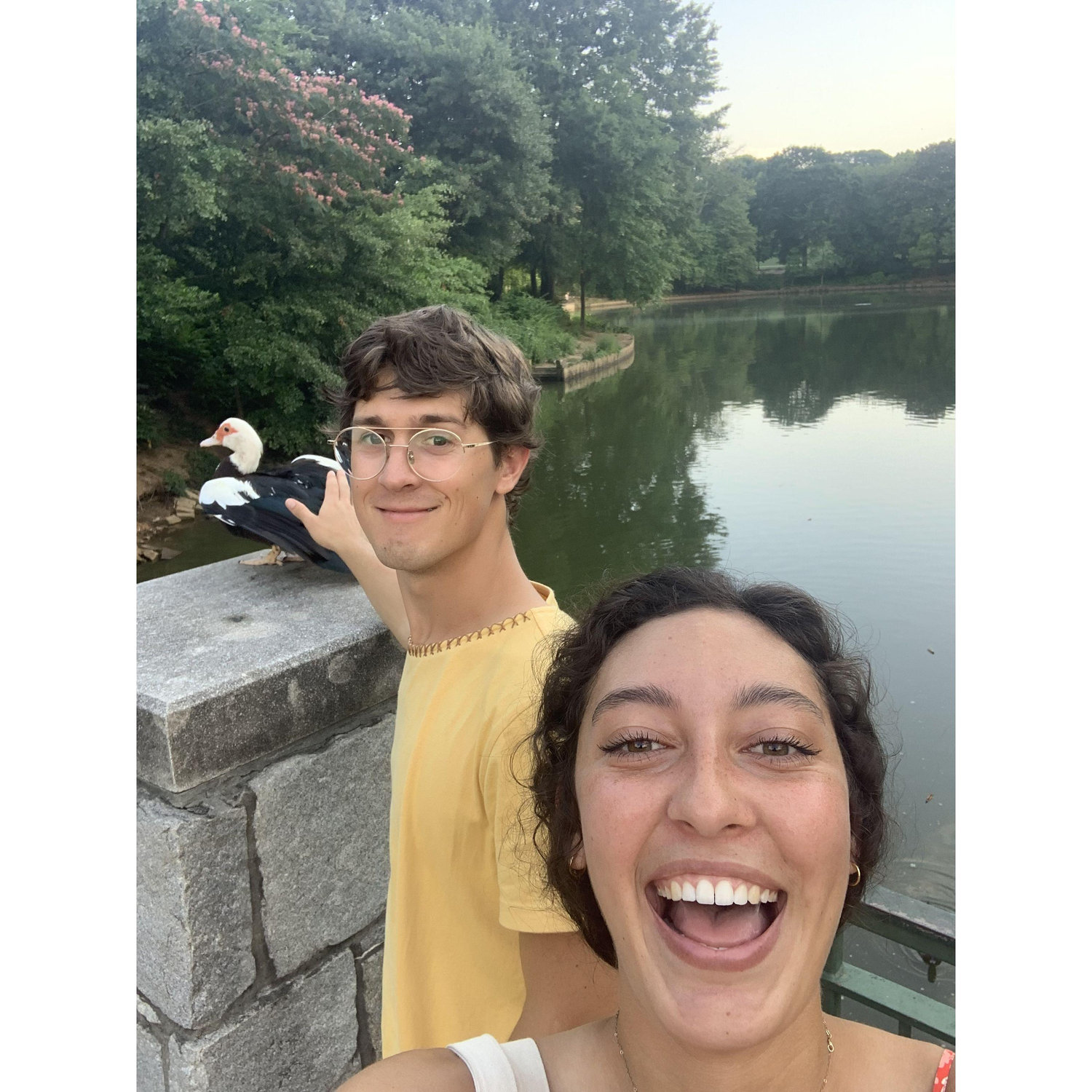 Picnic in Piedmont Park!