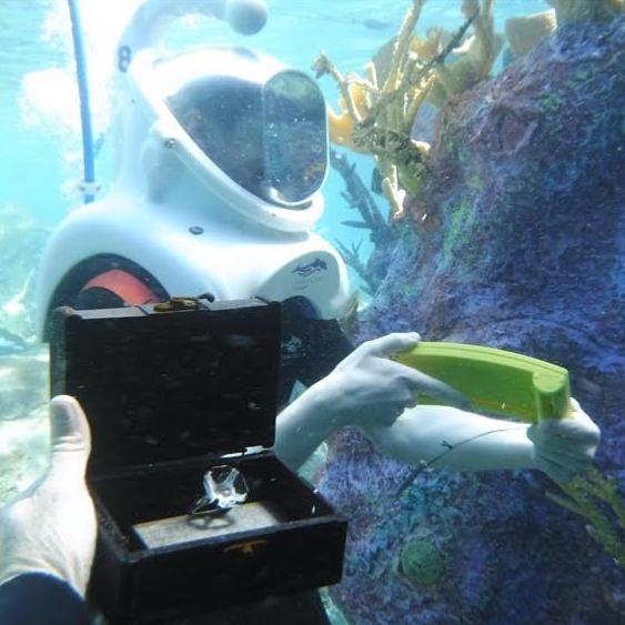 the diver showing y'all the box