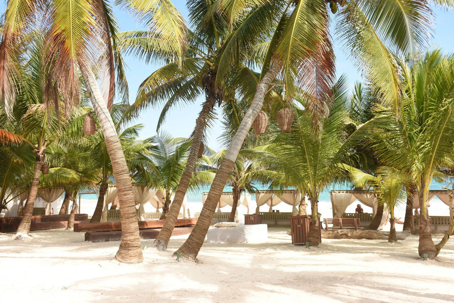 The Wedding Website of Yoshua Rodriguez Robles and Jonathan Garcia Ortiz