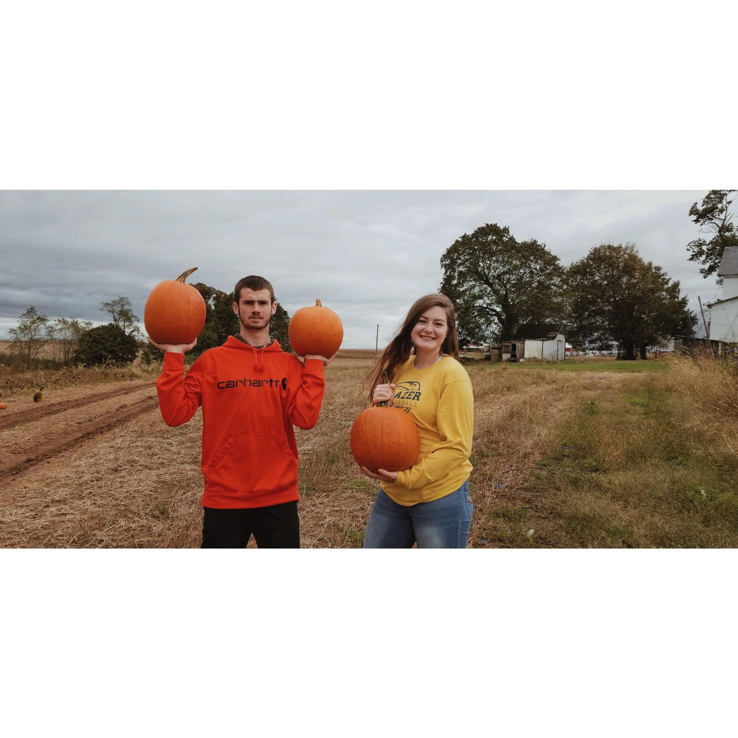 Tailyn's first experience at a pumpkin patch!