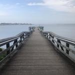 Norman J. Levy Park & Preserve