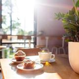 One Line Coffee-Franklinton