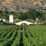Robert Mondavi Winery