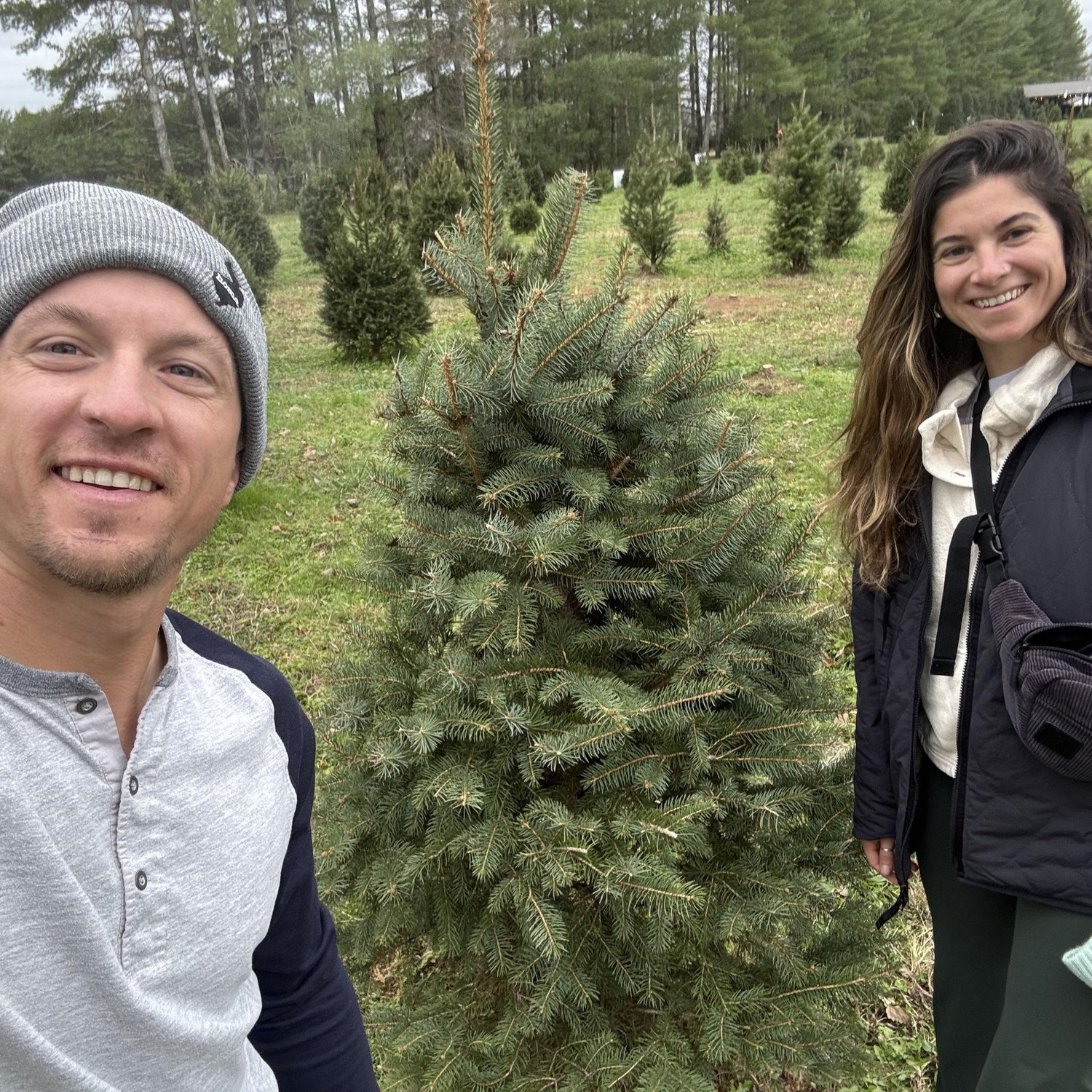 Our First Christmas Tree!