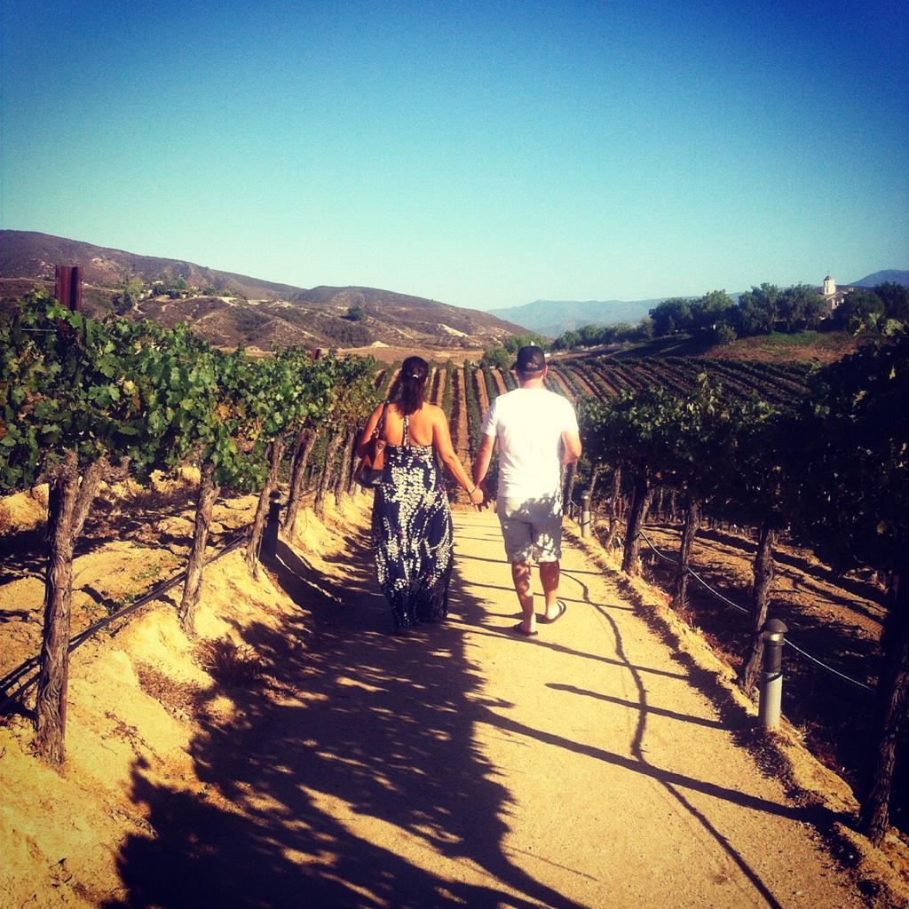 The Wedding Website of Elizabeth DeWitt and Benjamin Davies